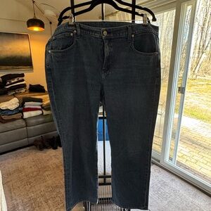 AYR The Frenchie in Meet Cute